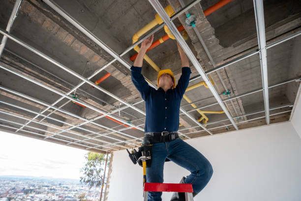 Best Commercial Plumbing Services  in Ava, MO