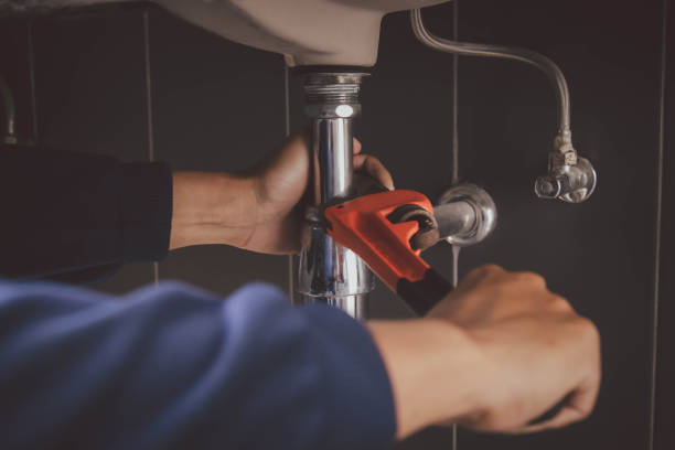 Best Local Plumber Services  in Ava, MO